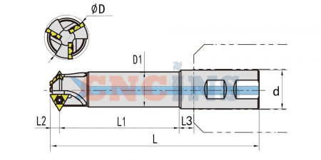 SMT29-25M11U-3C_3