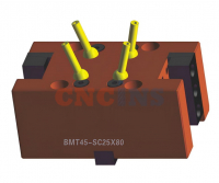 BMT65-SC25x80_1
