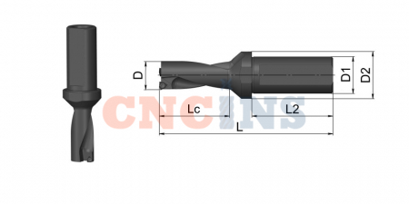 SP22-02D-C25_3